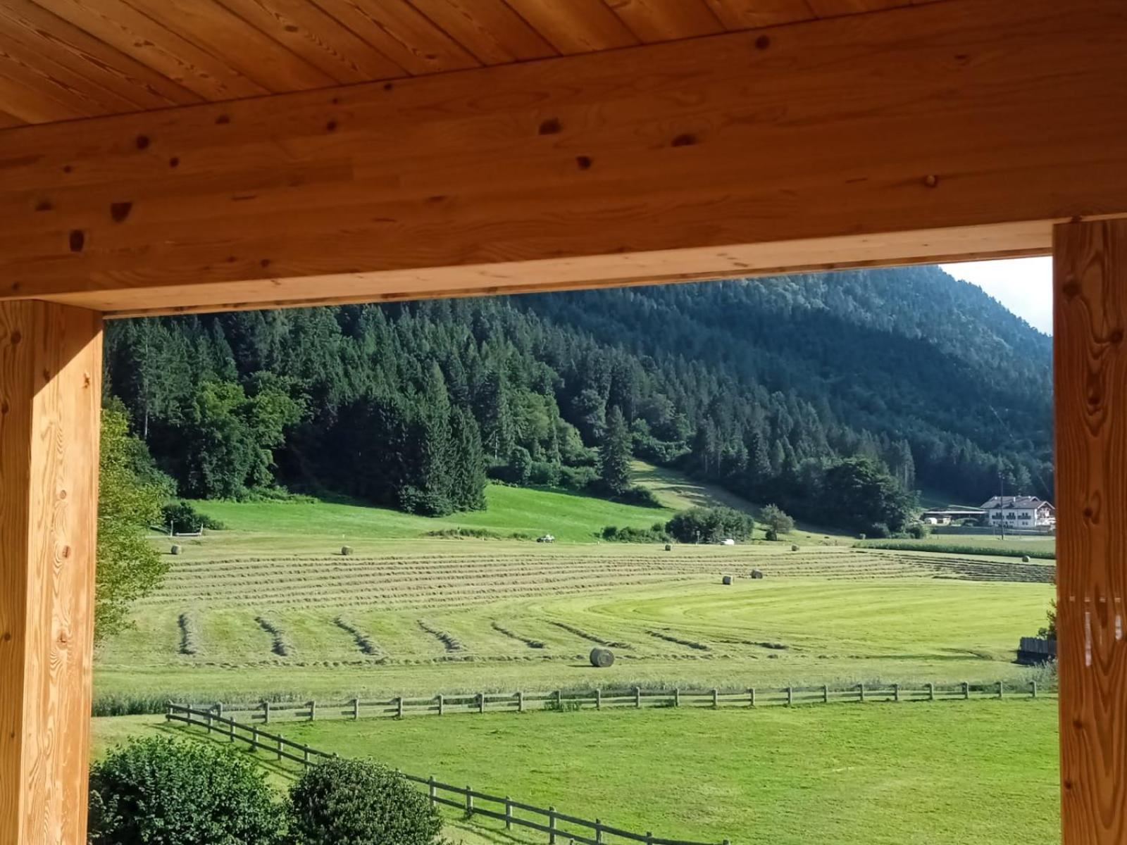 Maso Torbiera- Rural And Mountain Lodging Fiavè Eksteriør billede